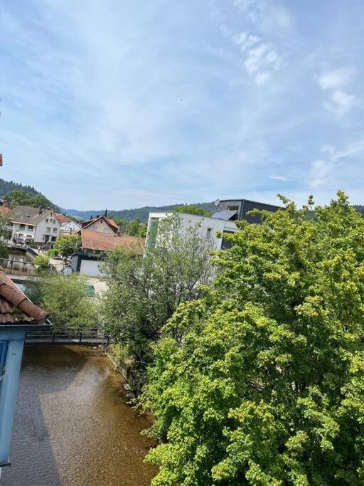 Loewen Appartement Hausach Eksteriør bilde