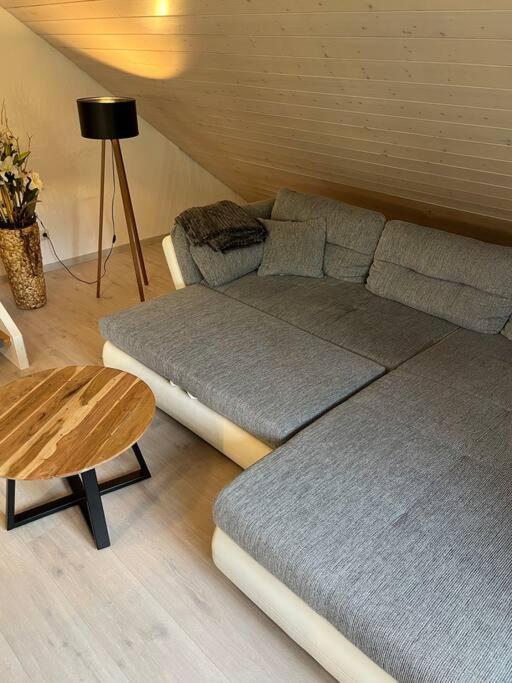 Loewen Appartement Hausach Eksteriør bilde
